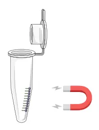 GALENVS magneti Total RNA Extraction Kit - microffugfdfe