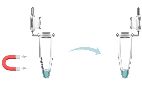 GALENVS magneti Total RNA Extraction Kit - microffuggdfe