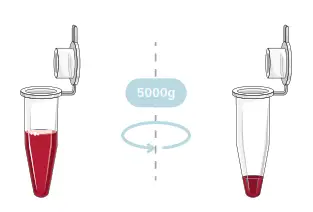 GALENVS magneti Total RNA Extraction Kit - microfuge 1