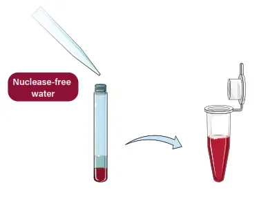 GALENVS magneti Total RNA Extraction Kit - microfuge