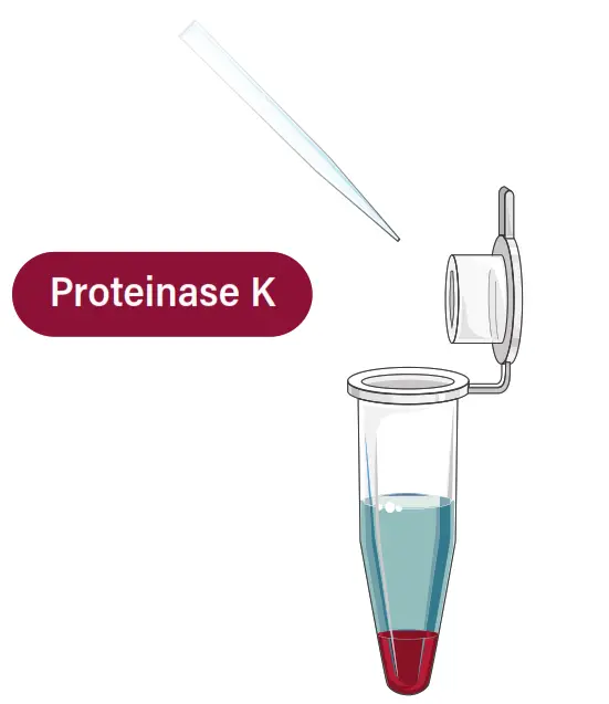 GALENVS magneti Total RNA Extraction Kit - microfugse