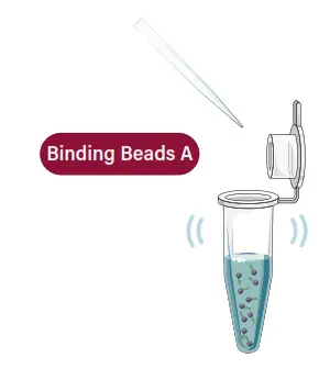 GALENVS magneti Total RNA Extraction Kit - minutes