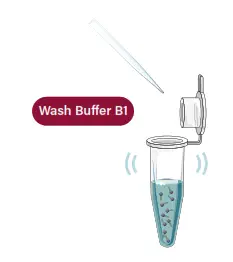 GALENVS magneti Total RNA Extraction Kit - pipetting