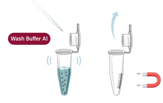 GALENVS magneti Total RNA Extraction Kit - tube1