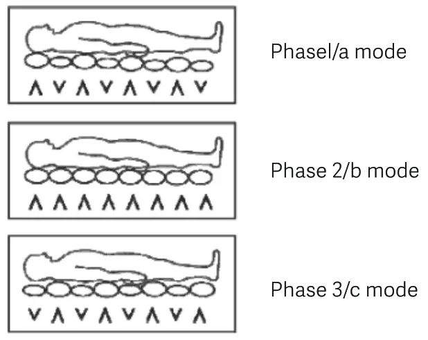 Dr Trust 301 Anti Decubitus Air Mattress Bubble - 2