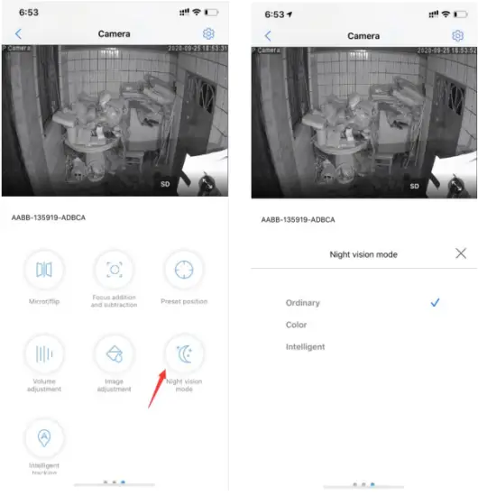 Playback and Download Videos from SD Card