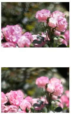 Canon 100mm F2.8 L Macro IS USm Instructions - Turn the SA control ring from the central position towards either the + or - direction