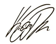 X BY KYGO Xellence True Wireless ANC Earphones - signature