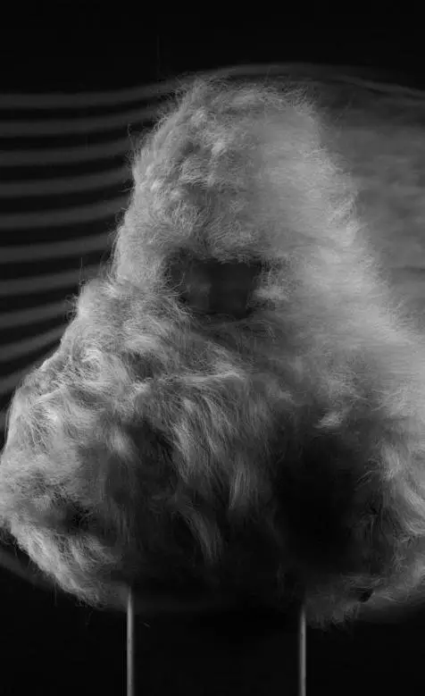 AUDIO-STUDIO-SD-01-David-Ⅰ-Speaker-image