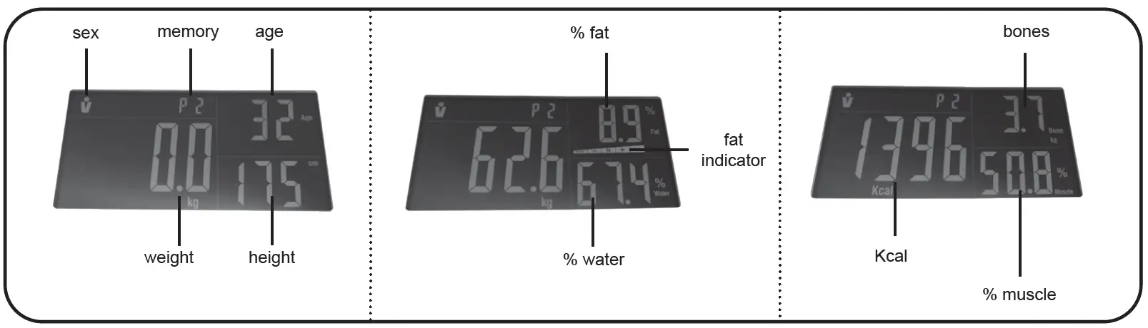 eta-7780-Analytic-Bathroom-Scale-fig-1
