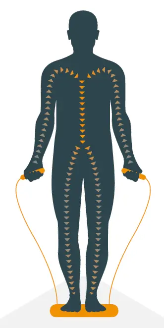 TANITA-Sarcopenia-Detection-04