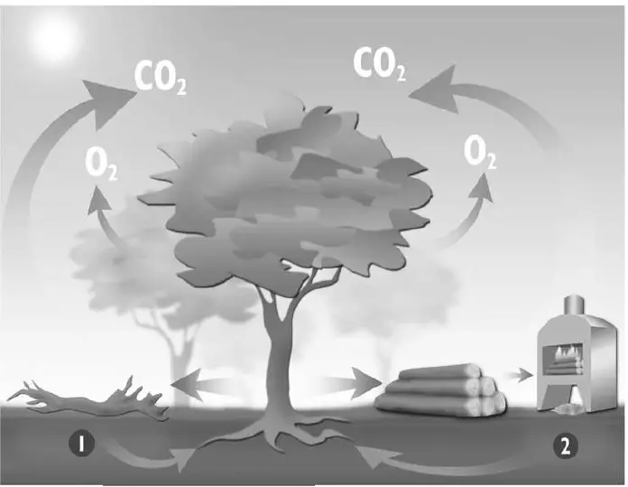 DENIA-Panoramic-Stove-FIKG-1