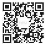 evolur LOFT AI 927 00 Midcentury Crib - Qr Code