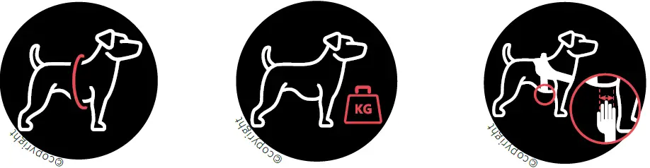 JK9 IDC POWERHARNESS Flagship Dog Harness with 01