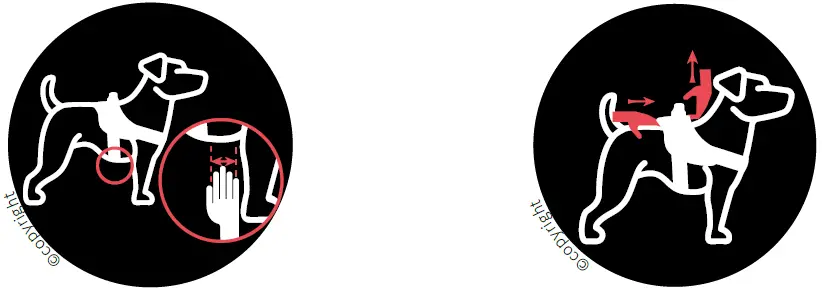 JK9 IDC POWERHARNESS Flagship Dog Harness with 04