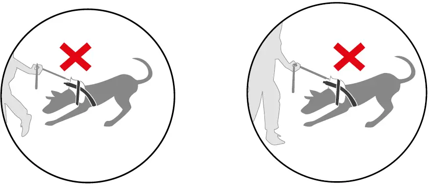 JK9 IDC POWERHARNESS Flagship Dog Harness with 06