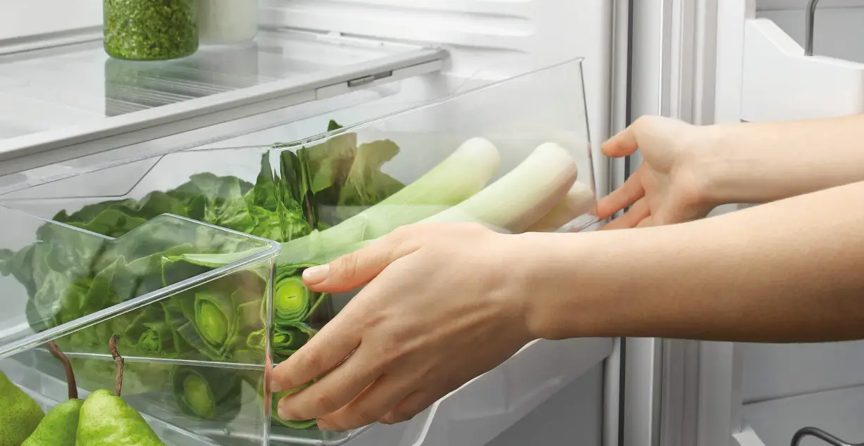 Fisher Paykel Rf135blpjx6 N Fp Us 25 Inch Bottom Mount Refrigerator Freezer Owner's Manual