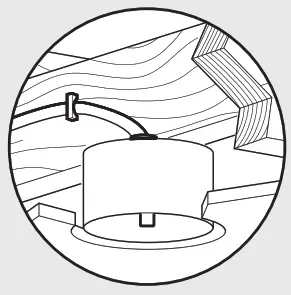 Hunter Kempton Park - fig 1