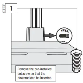 Hunter Kempton Park - fig 12