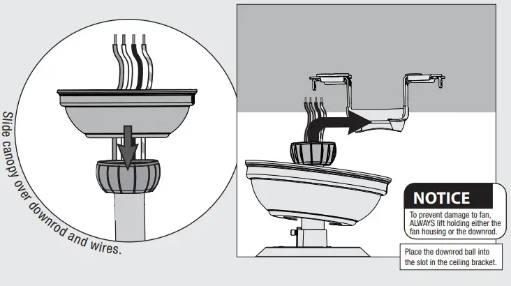 Hunter Kempton Park - fig14