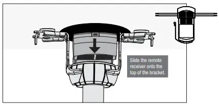 Hunter Kempton Park - fig16