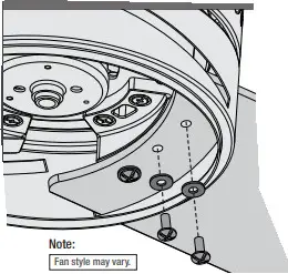 Hunter Kempton Park - fig20