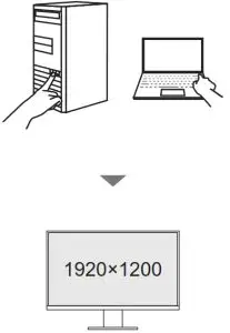 EIZO FlexScan EV2485 24 inch Color LCD Office Monitor -4