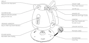Dualit 484857 Jug Kettle -KNOW YOUR JUG KETTLE