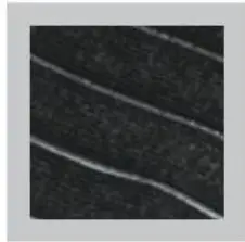 inSPORTline Magnetic Bamboo Waist Support User Manual