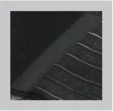 inSPORTline Magnetic Bamboo Waist Support User Manual