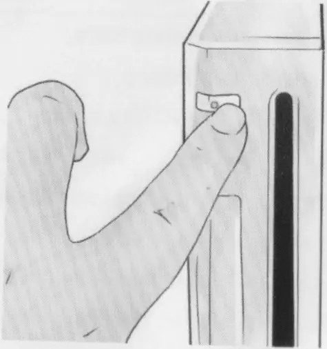 Rhizmall W-10 - Pairing 1