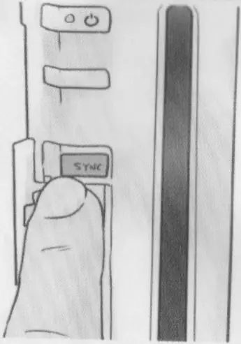 Rhizmall W-10 - Pairing 3