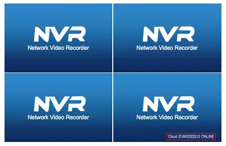 Connect the NVR to the Internet