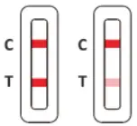 INTERPRETATION OF RESULTS
