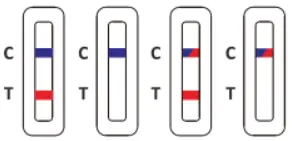 INTERPRETATION OF RESULTS