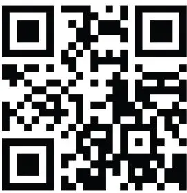 Immedia IMM1045 Mini Board 1