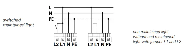 EATON 40071354874 Outdoor Wall CGLine Light - fig2