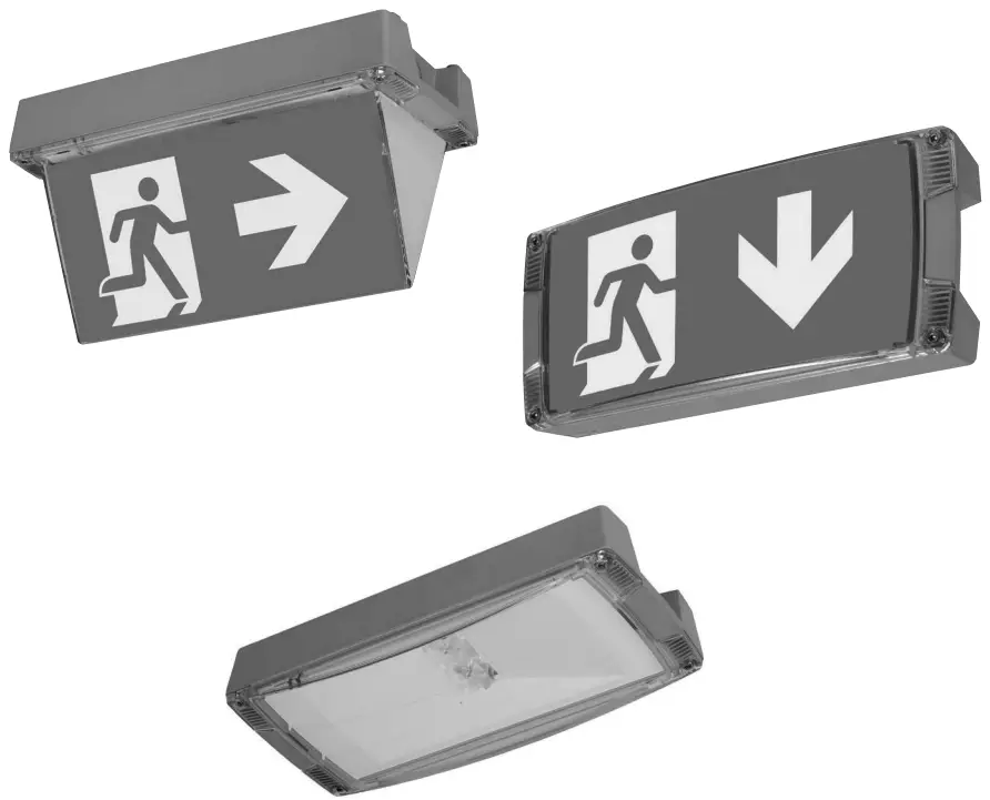 EATON 40071354874 Outdoor Wall CGLine Light