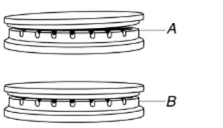 KitchenAid KFGG500ESS 30-Inch 5-Burner Gas Convection Range 9