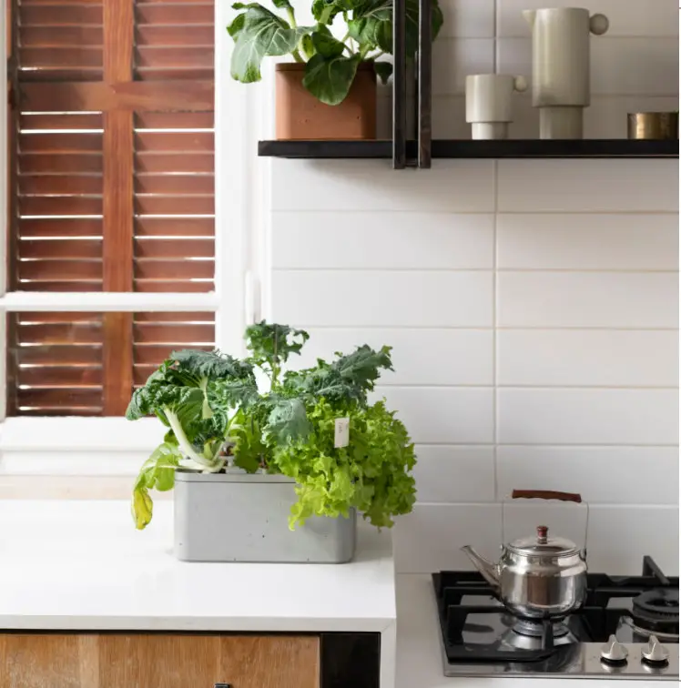 Keter 17210162 Farm Box - Fig