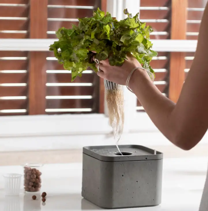 Keter 17210162 Farm Box - Fig1