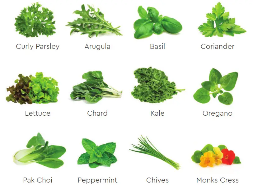 Keter 17210162 Farm Box - Grow