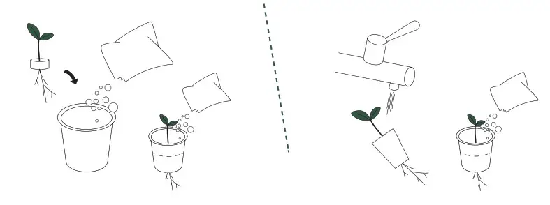 Keter 17210162 Farm Box - Ready1