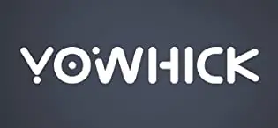 Amazon.com: Mini Projector, Native 1080P Full HD YOWHICK DP02W Movie Projector for Outdoors, 9000Lm Portable Projector with Remote Control, HDMI, USB, AV and Aux Ports for Laptop, TV Stick, PS5 Smartphone :