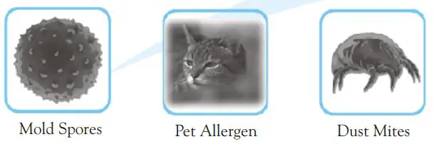 austin air HealthMate HM400 Standard HEPA Air Purifier Owner’s Manual - Dust, Dirt and Odors