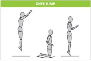 BASIC TRAMPOLINE SKILLS