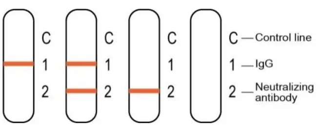 JOYSBIO SARS CoV2 IgG Neutralizing antibody Rapid Test Kit - fig 2