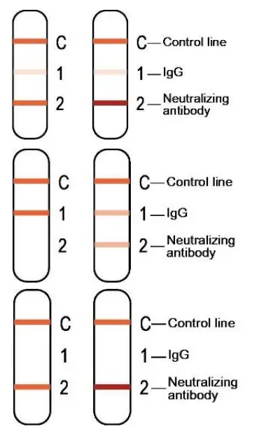 JOYSBIO SARS CoV2 IgG Neutralizing antibody Rapid Test Kit - fig