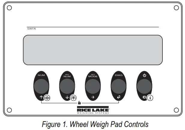 RICE LAKE 214195 Load Ranger 2.4 GHz RF Module - fig 1