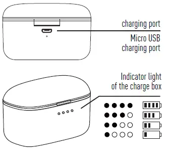 Components of the Product